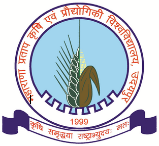 Owl Image